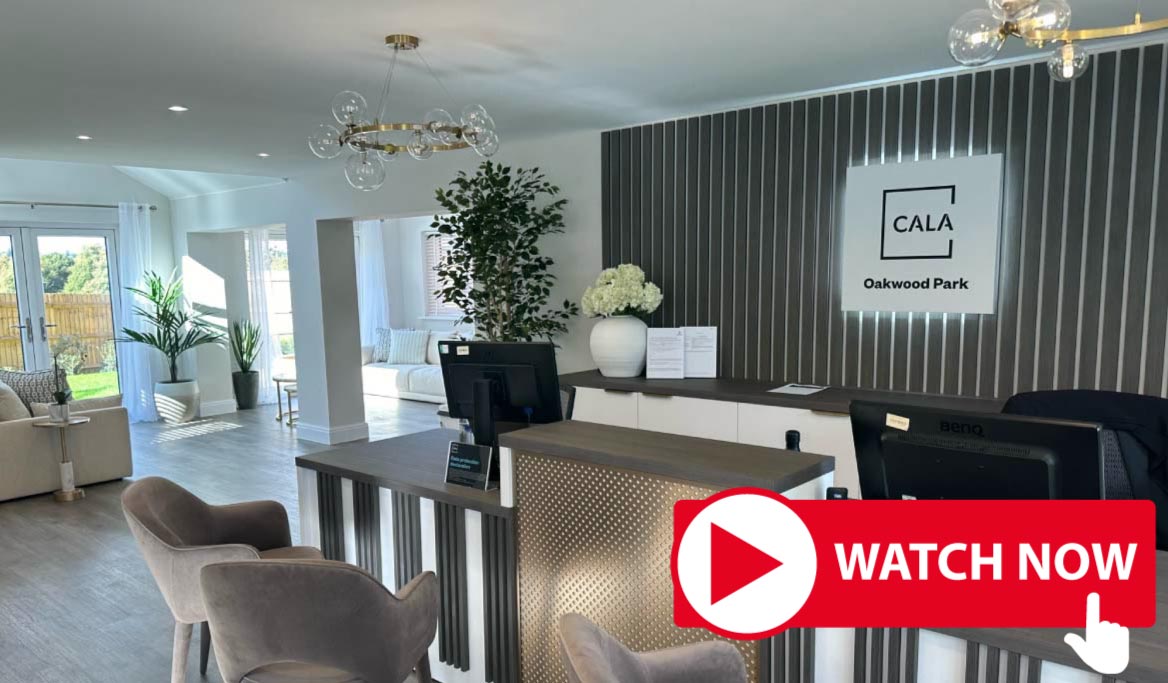 Video Image